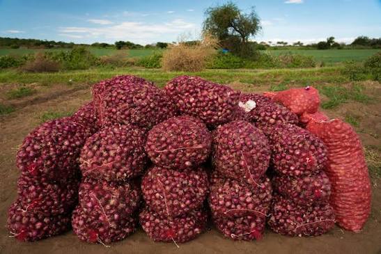 Lake Eyasi: Onions, Bushmen and Salt Flats