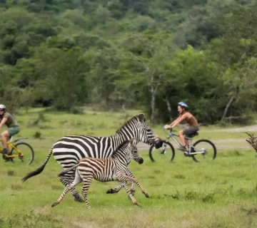 Lake Mburo on Horseback, Bicycle and Foot: A Non Driver's Safari