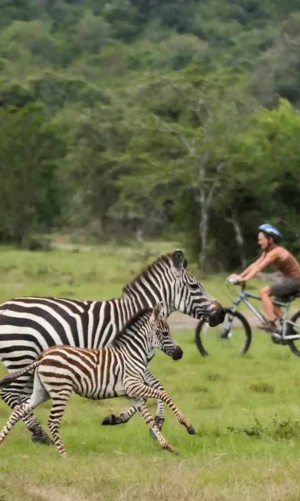 Lake Mburo on Horseback, Bicycle and Foot: A Non Driver's Safari