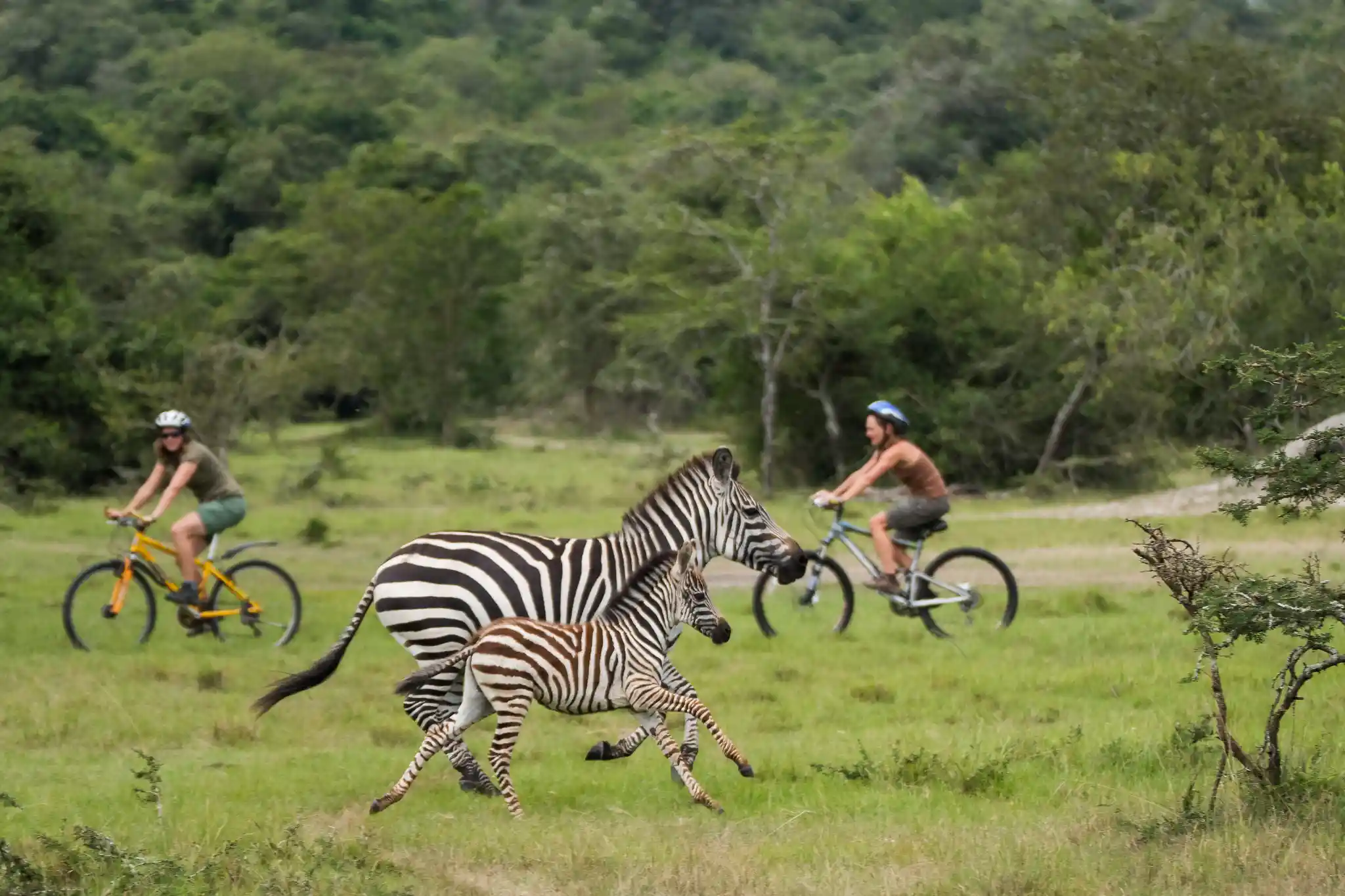 Lake Mburo on Horseback, Bicycle and Foot: A Non Driver's Safari