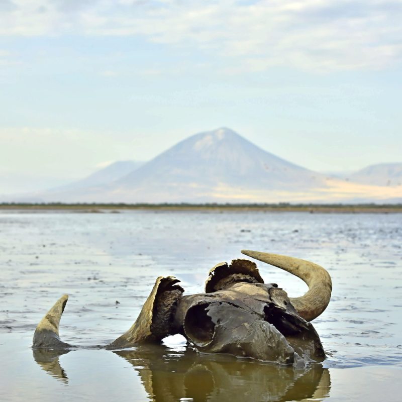 Lake Natron Toxic