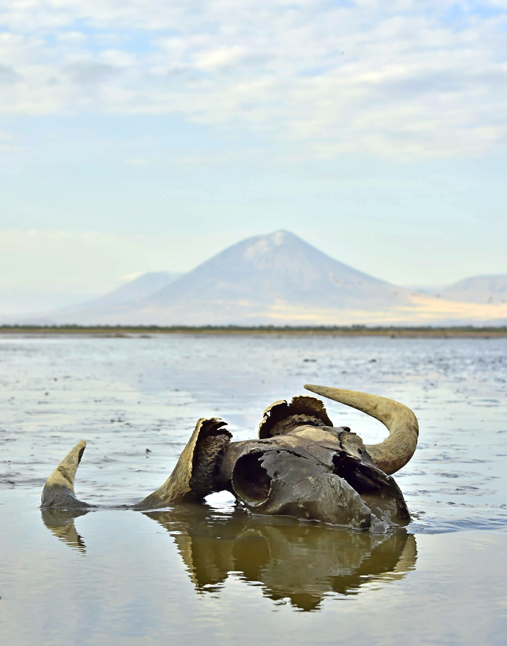 Lake Natron Toxic