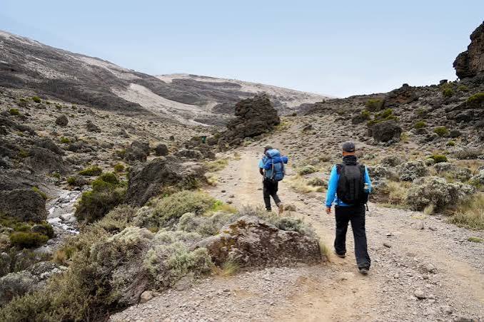 Luxury vs Budget Kilimanjaro Climbing: Which Is Right for You?