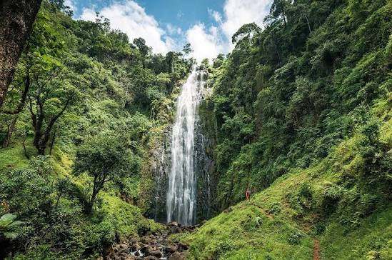 Materuni Waterfalls and Coffee Tour Near Moshi