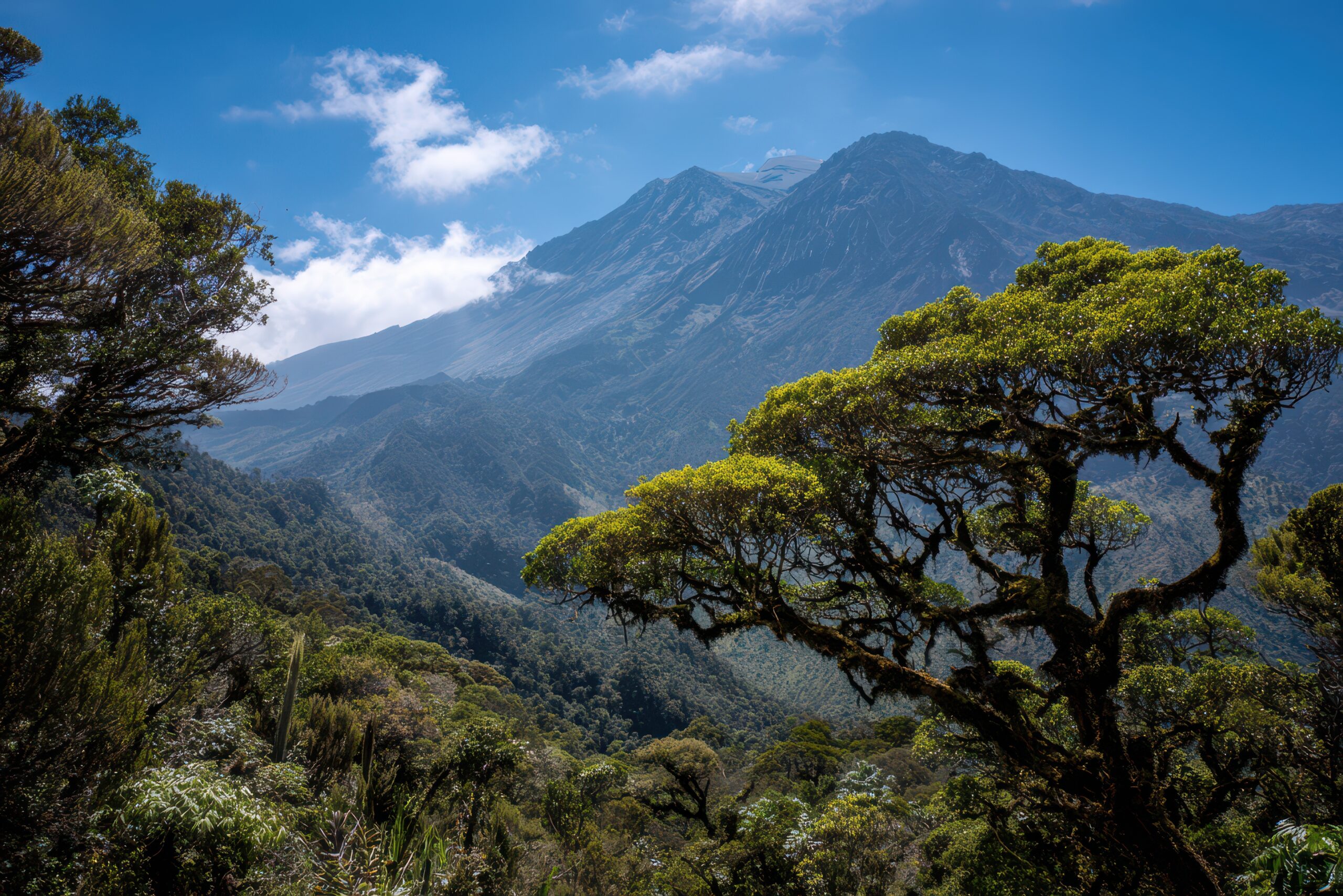 Meru National Park: A Complete Guide