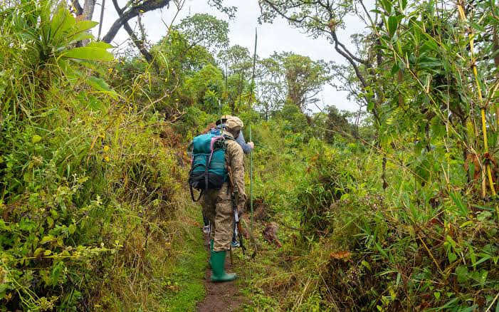 Mount Elgon National Park: A Complete Guide