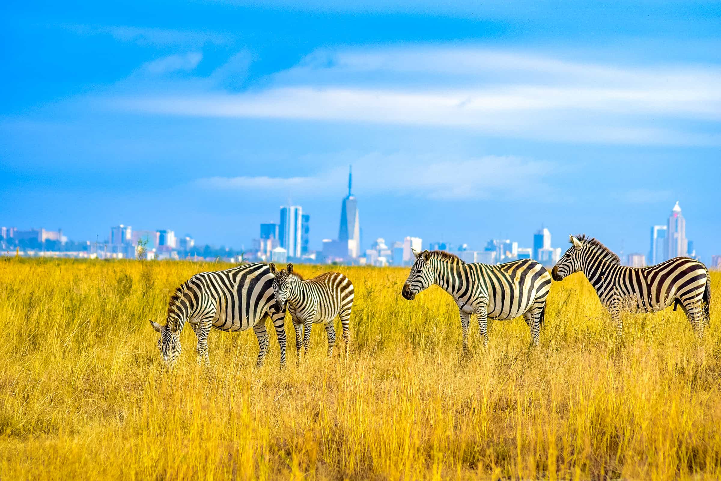 Nairobi National Park: A Complete Guide