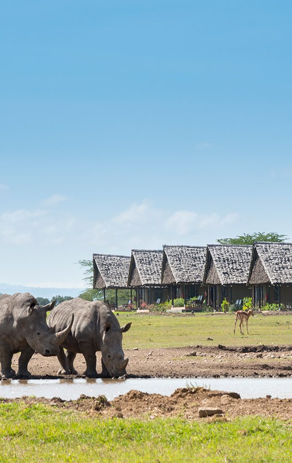 Ol Pejeta Conservancy: A Complete Guide