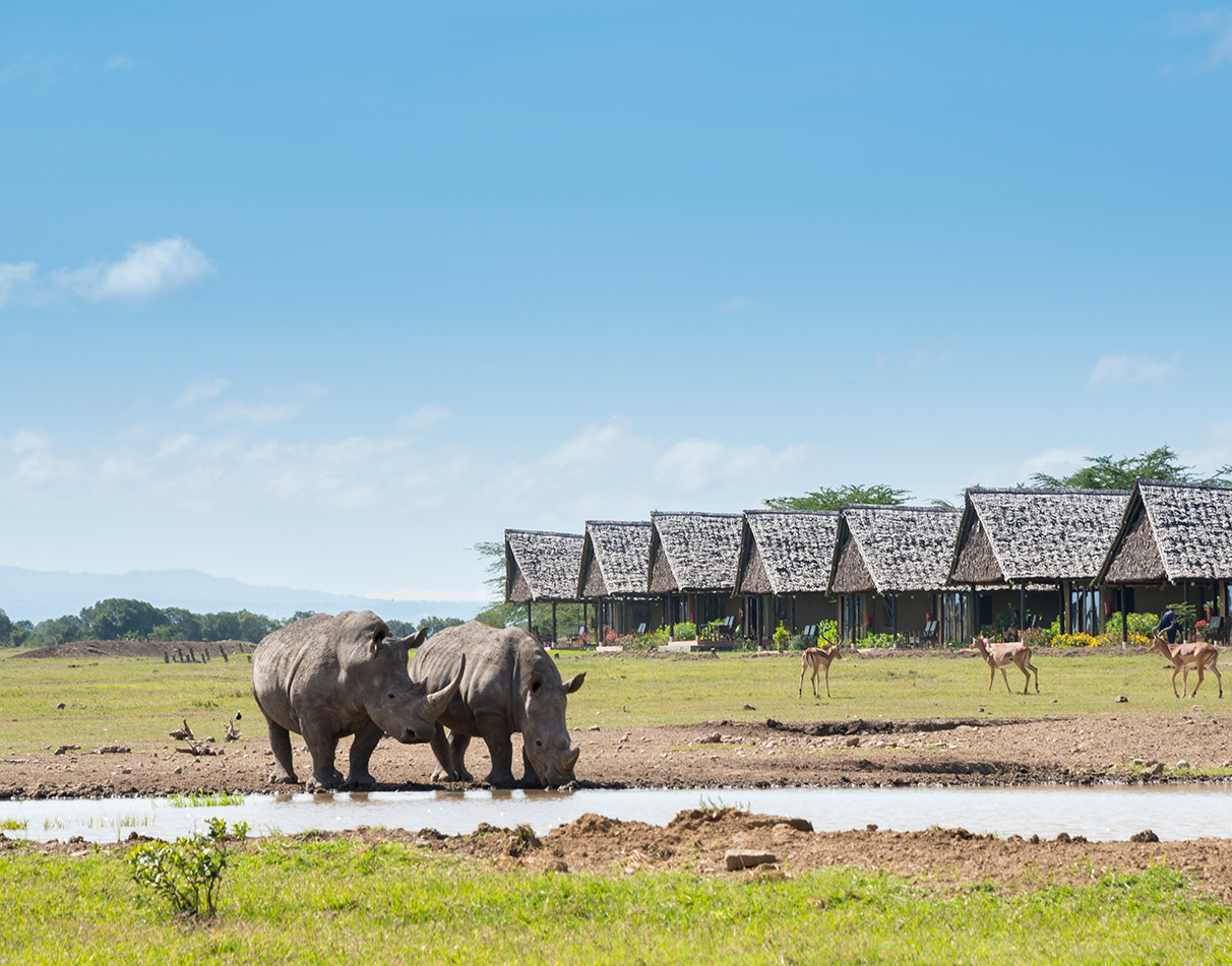Ol Pejeta Conservancy: A Complete Guide