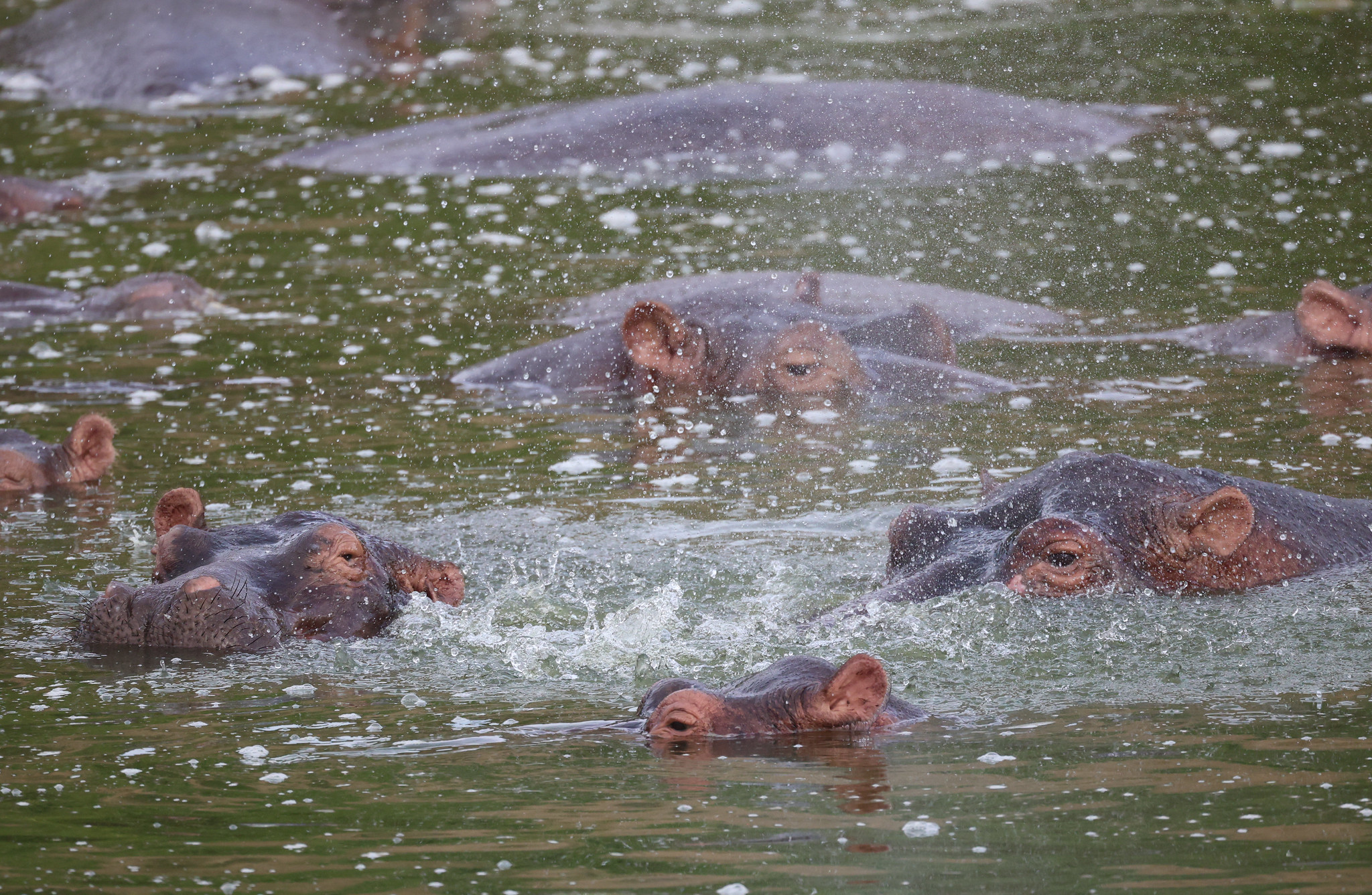 Queen Elizabeth National Park