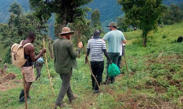 Rwenzori Foothills Village Walks for Travellers Who Won't Summit