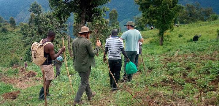Rwenzori Foothills Village Walks for Travellers Who Won't Summit