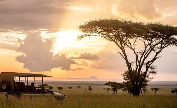 Loliondo and the Serengeti's Eastern Edge: Off Road Adventures