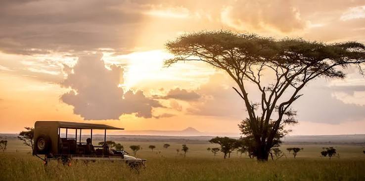 Serengeti Private Concessions Loliondo and the Serengeti's Eastern Edge: Off-Road Adventures