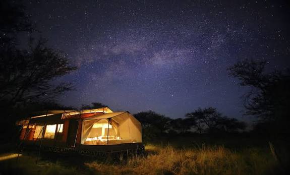 Stargazing Near Ngorongoro Crater: What You Can See at Night