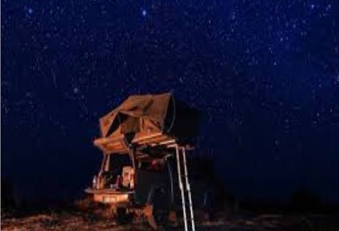Stargazing Near the Nkuringo Sector: What You Can See at Night