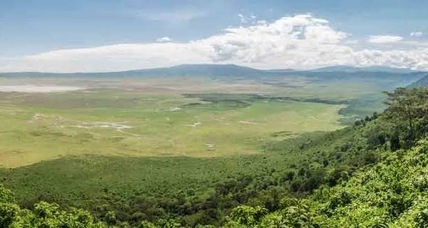 Tanzania Park Fees Explained: Concession Fees, Crater Fees and More