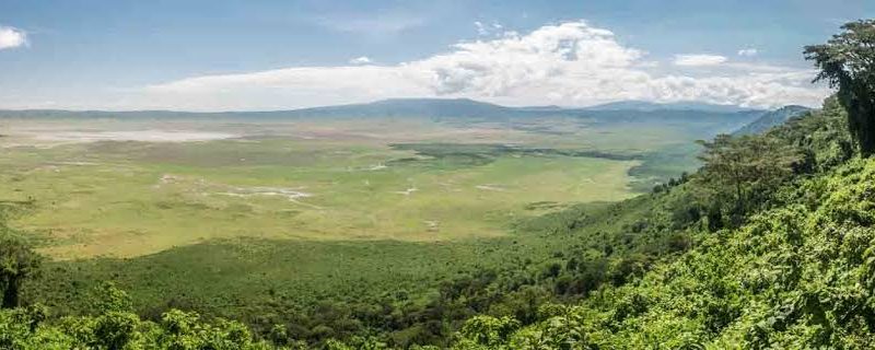 Tanzania Park Fees Explained: Concession Fees, Crater Fees and More