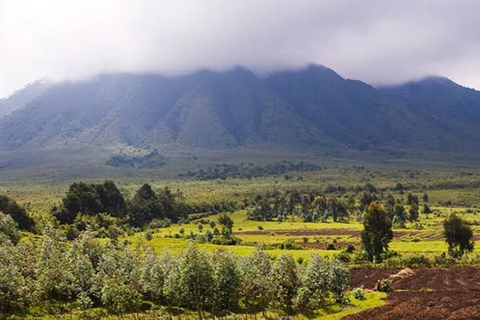 The History Behind Virunga National Park and Why It Matters to Travelers