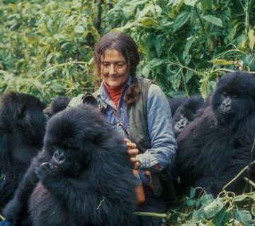 Visiting Dian Fossey's Grave on Mount Bisoke's Slopes