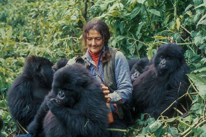 Visiting Dian Fossey's Grave on Mount Bisoke's Slopes