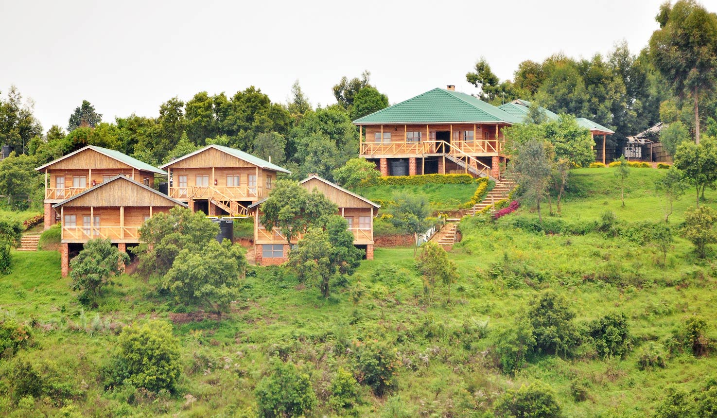 Things to do in Ruhija sector after gorilla trekking.