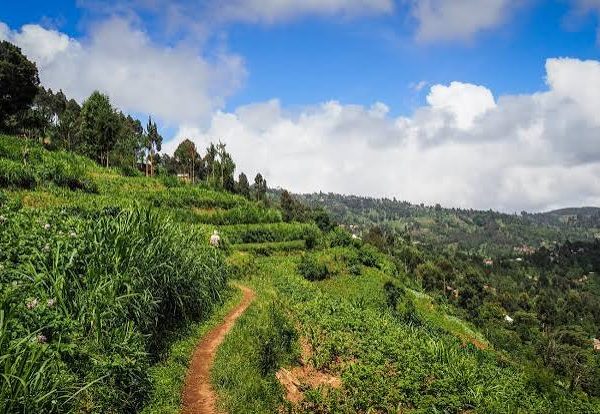 Usambara Mountains Hiking: Lushoto's Villages and Viewpoints