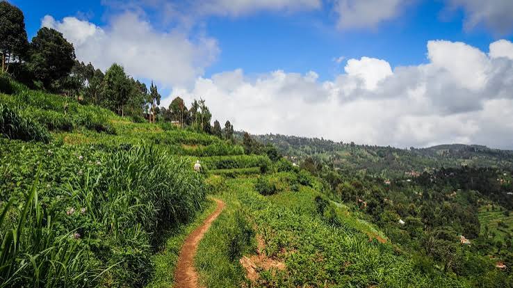 Usambara Mountains Hiking Usambara Mountains Hiking: Lushoto's Villages and Viewpoints