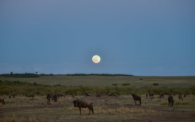 Full moon rising over the plains near Arusha, Tanzania, at dusk