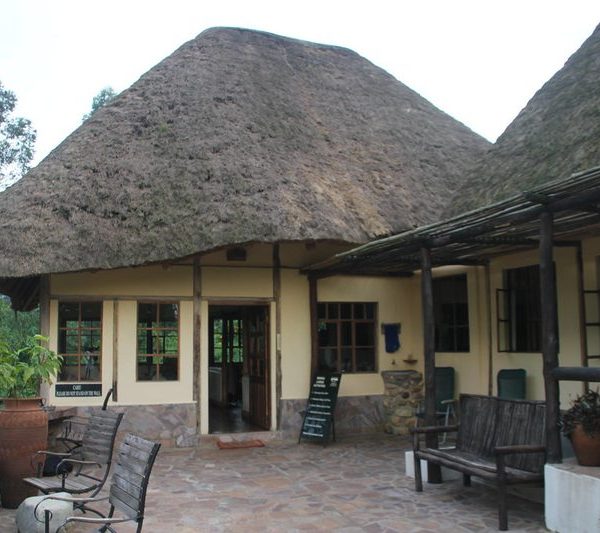 Luxury thatched roof lodge near Bwindi Impenetrable National Park, Uganda