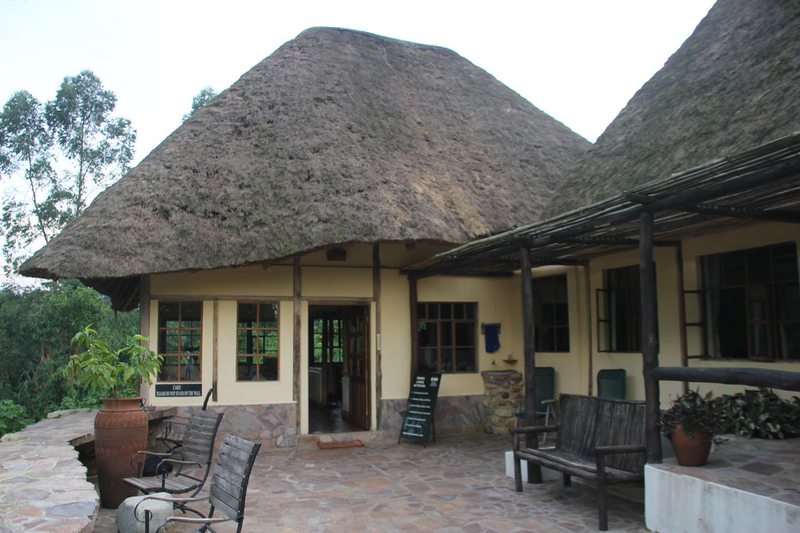 Luxury thatched roof lodge near Bwindi Impenetrable National Park, Uganda