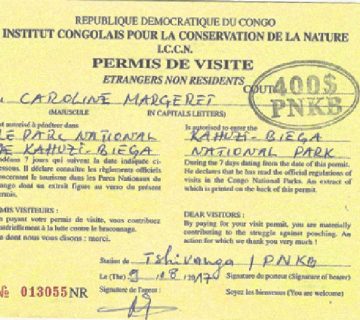A sample DRC gorilla trekking permit document from the Congolese Institute for Nature Conservation