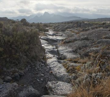 Rocky moorland trail on Mount Kilimanjaro with distant peak view