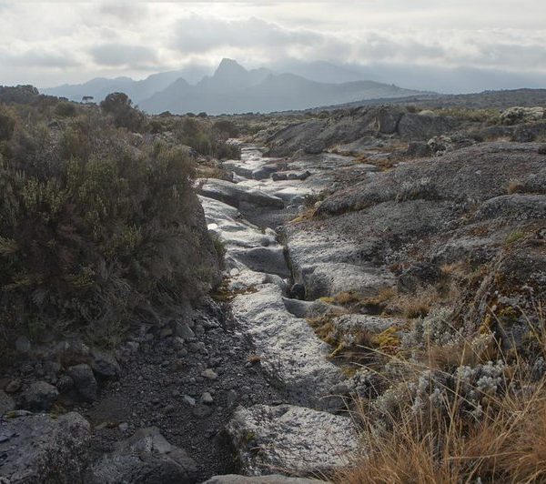 Rocky moorland trail on Mount Kilimanjaro with distant peak view