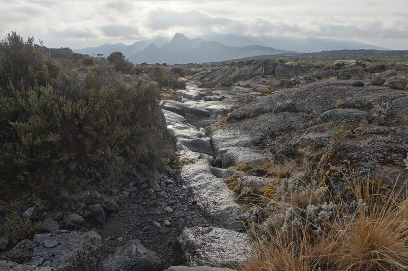 Rocky moorland trail on Mount Kilimanjaro with distant peak view