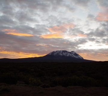 Mount Kilimanjaro silhouetted at sunrise, Tanzania, the genuine location for Kilimanjaro climbing