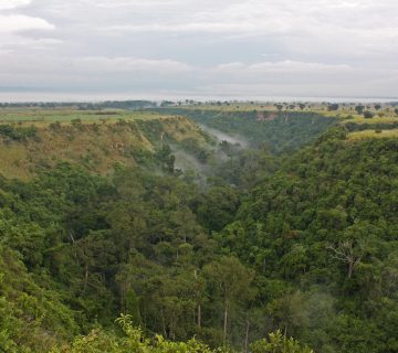 Aerial view of Kyambura Gorge cutting through the savannah in Queen Elizabeth National Park, Uganda