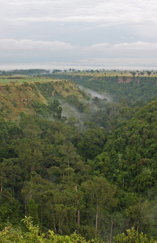 Aerial view of Kyambura Gorge cutting through the savannah in Queen Elizabeth National Park, Uganda