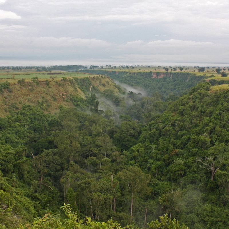 Aerial view of Kyambura Gorge cutting through the savannah in Queen Elizabeth National Park, Uganda