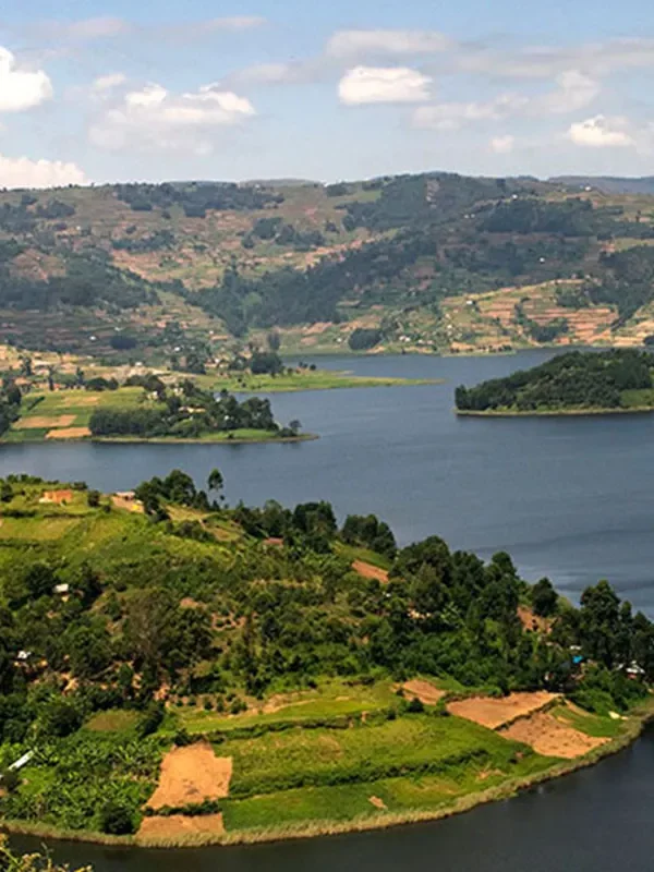 Aerial view of the islands and terraced hills of Lake Bunyonyi, Uganda