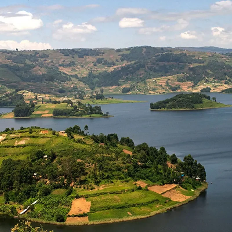 Aerial view of the islands and terraced hills of Lake Bunyonyi, Uganda