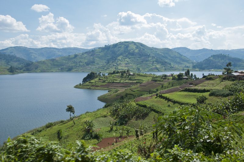 Terraced hills along the shore of Lake Bunyonyi, Uganda