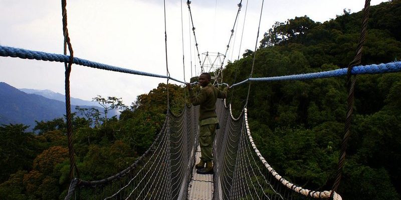 rwanda-nyungwe-canopy-walk-conservation.jpg Canopy walk in Nyungwe National Park, Rwanda