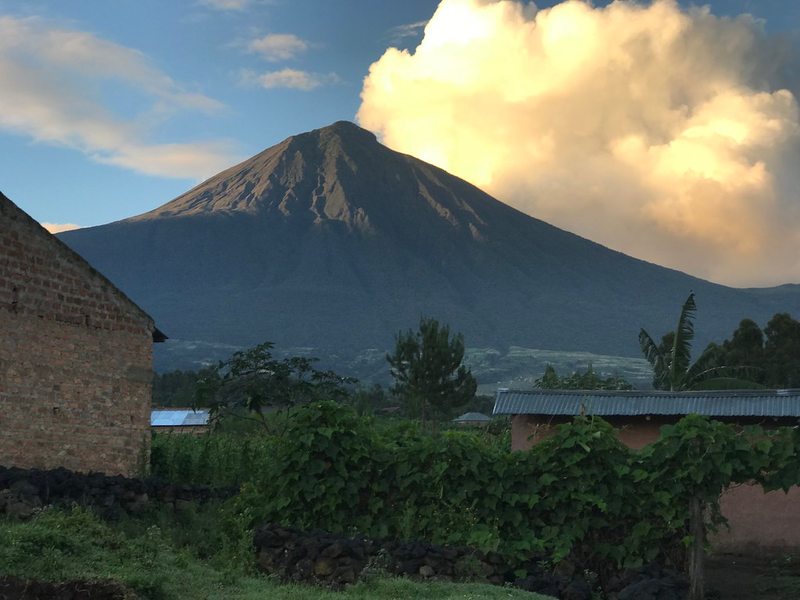 Volcanoes National Park in Rwanda, an alternative gorilla trekking destination