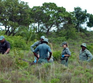 A Day With Wildlife Rangers on Patrol