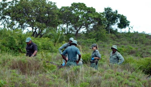 A Day With Wildlife Rangers on Patrol