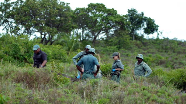A Day With Wildlife Rangers on Patrol