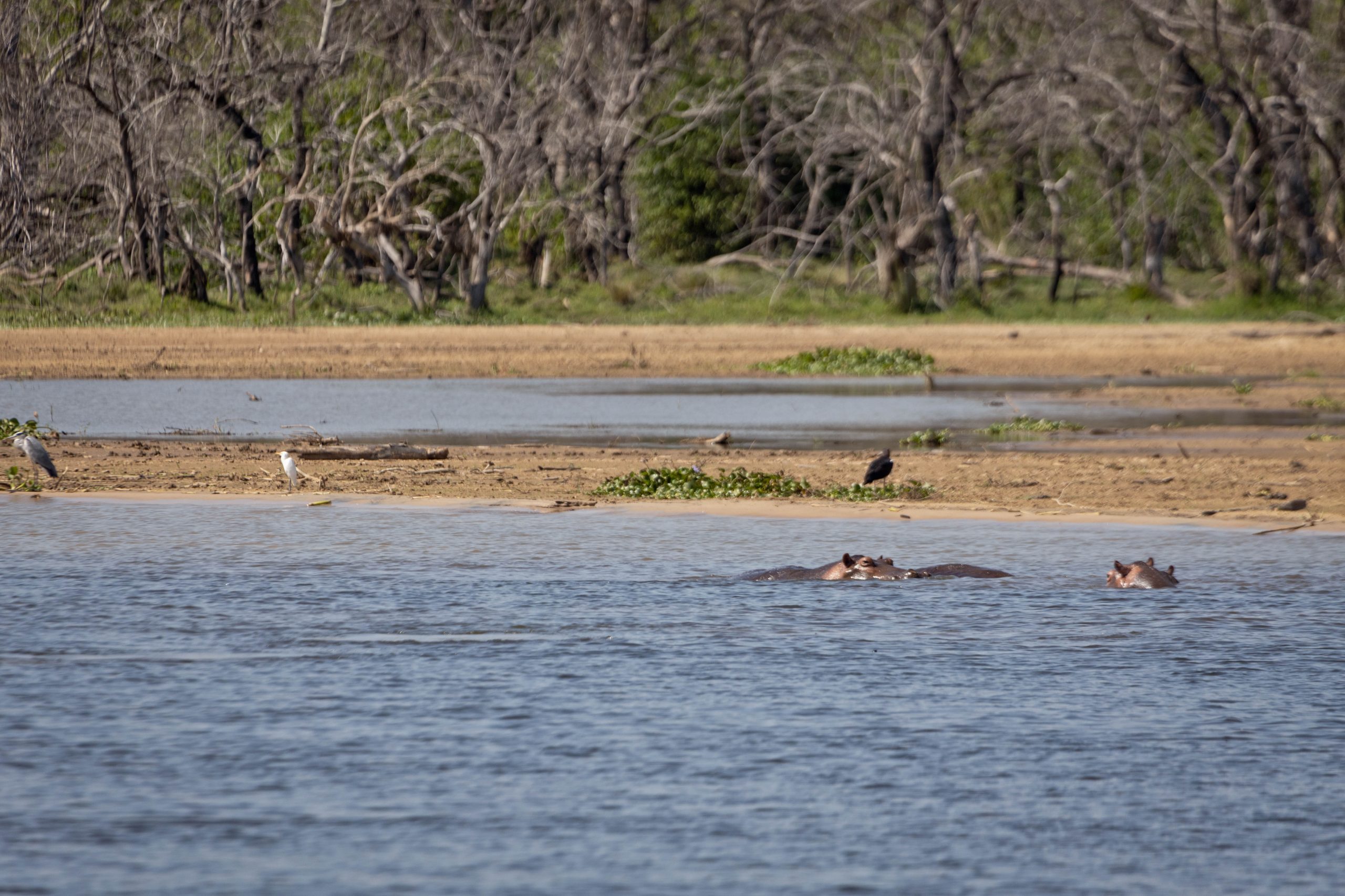 ALL IN AFRICA SAFARIS 223 2 scaled