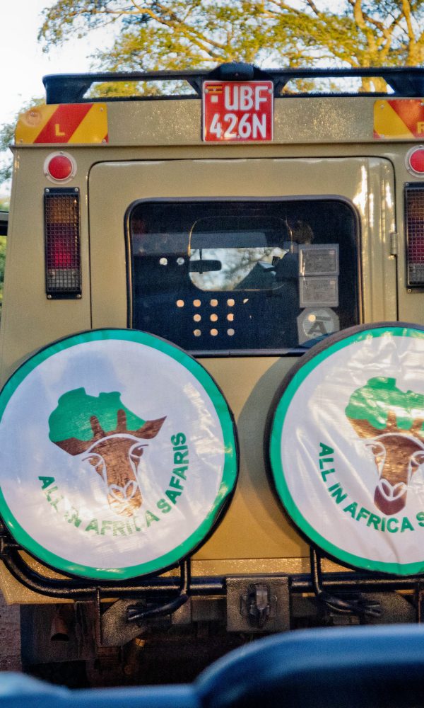ALL IN AFRICA SAFARIS 34 5 600x1000