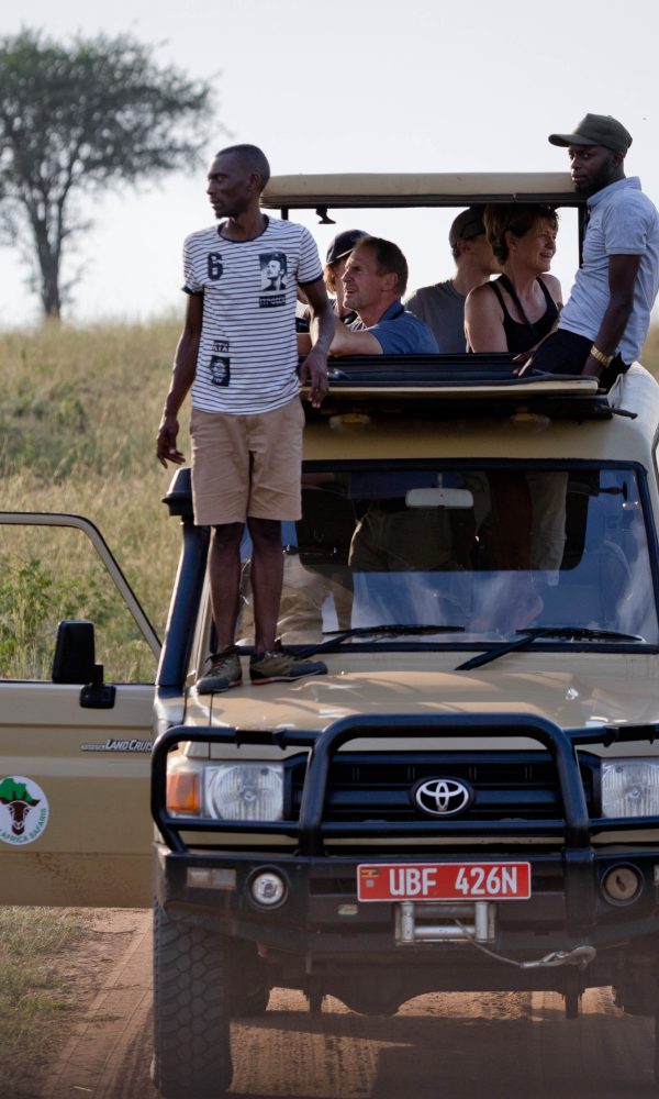 ALL IN AFRICA SAFARIS 37 4 600x1000